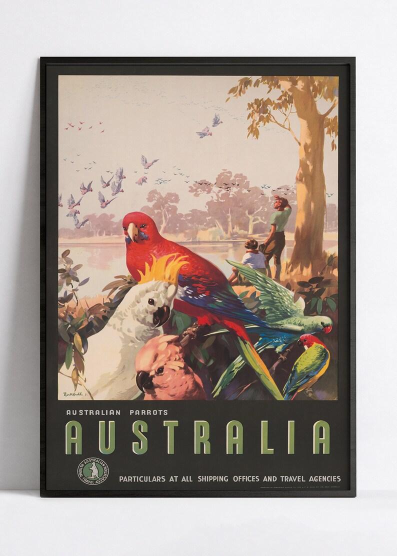 Affiche voyage "Australia - Parrots" - vintage - Haute Définition - papier mat 230gr/m² - Poster Vintage