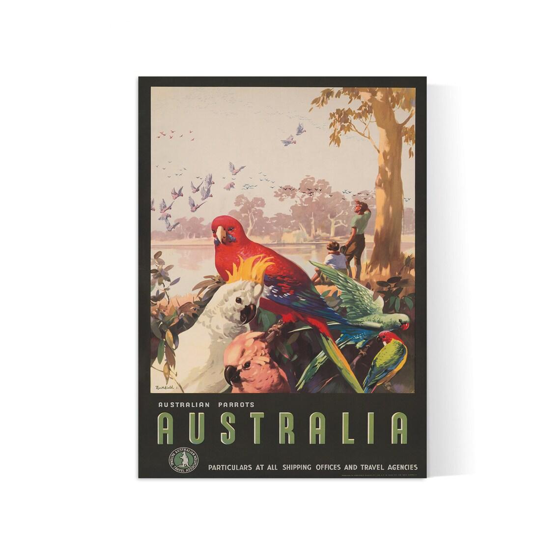 Affiche voyage "Australia - Parrots" - vintage - Haute Définition - papier mat 230gr/m² - Poster Vintage
