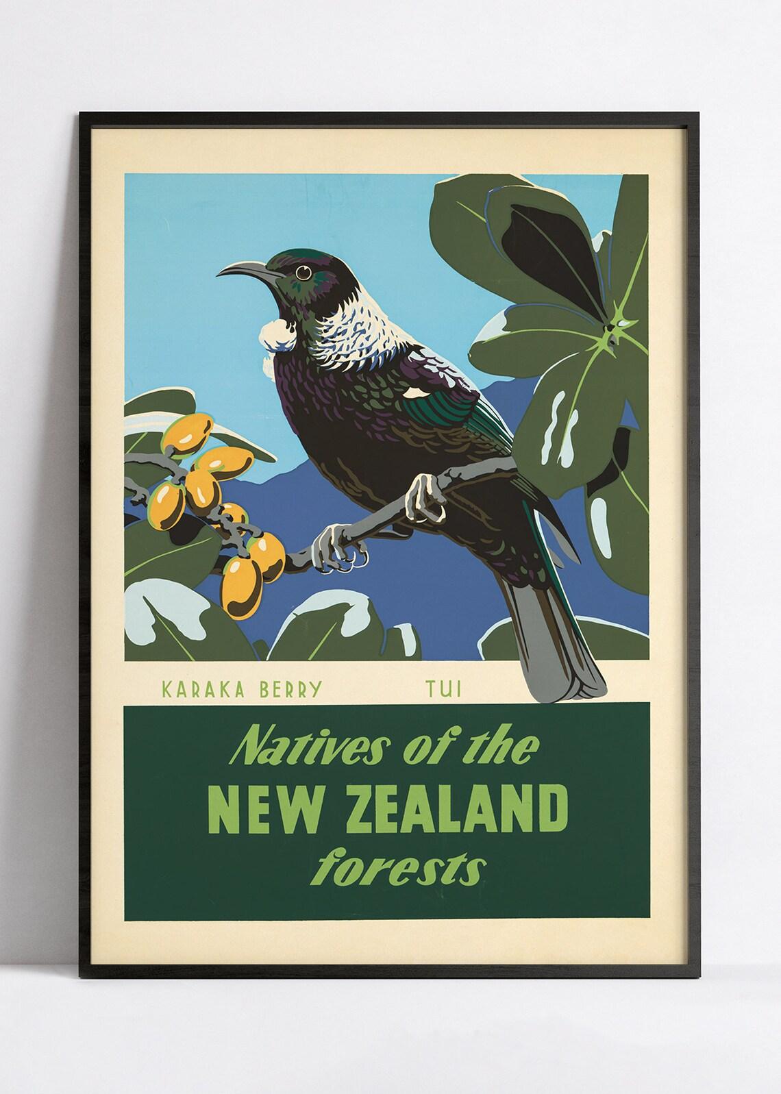 Affiche voyage vintage "Natives of the New Zealand forests" Office du Tourisme - Haute Définition - papier mat 230gr/m² - Poster Vintage