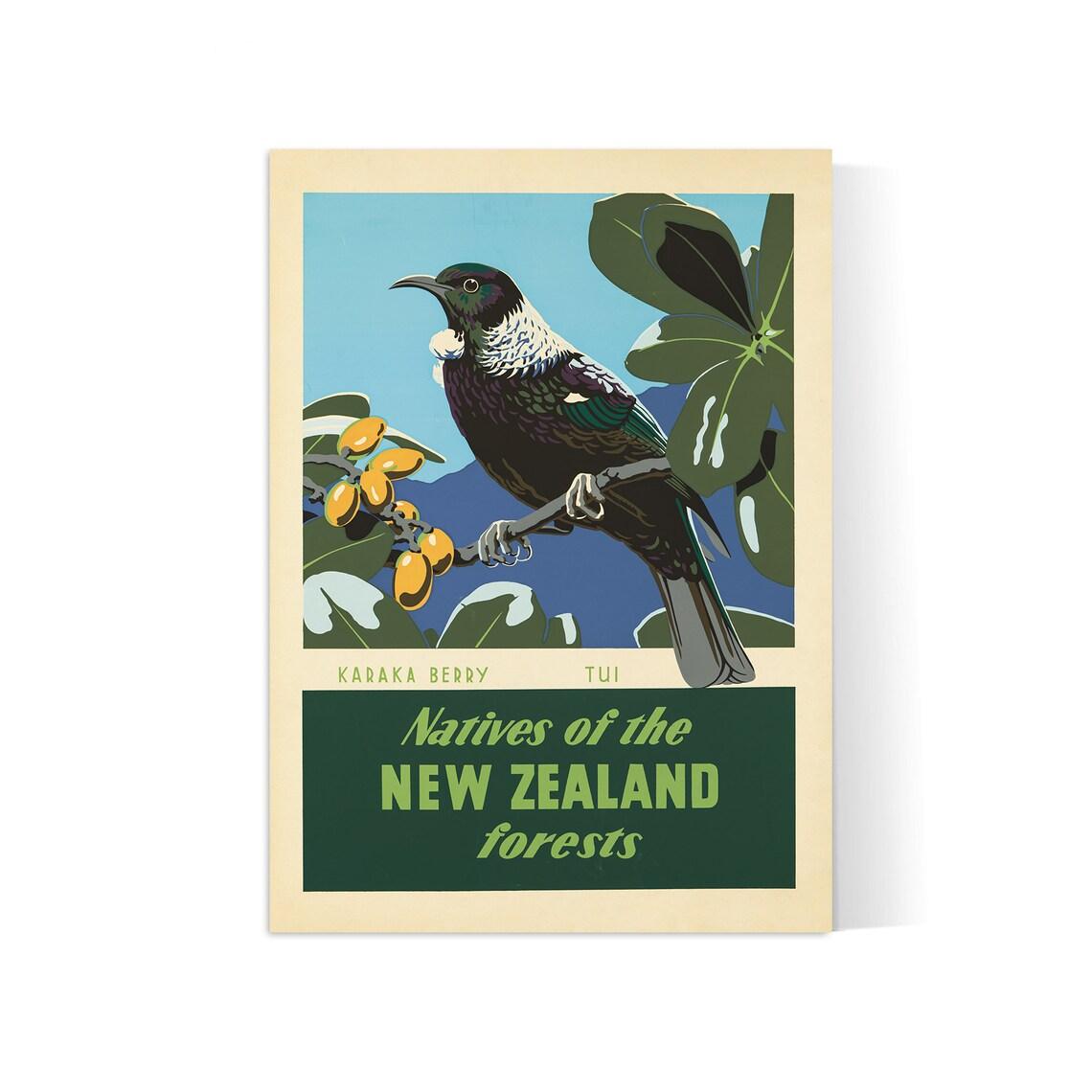 Affiche voyage vintage "Natives of the New Zealand forests" Office du Tourisme - Haute Définition - papier mat 230gr/m² - Poster Vintage