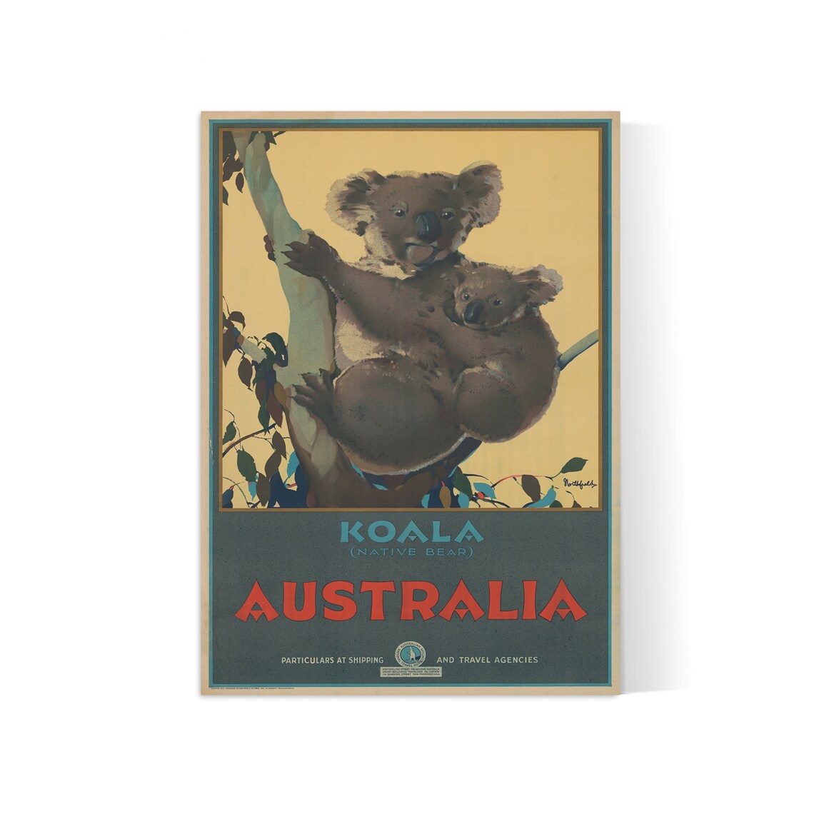 Affiche voyage " Australia - Koala" - vintage - Haute Définition - papier mat 230gr/m²