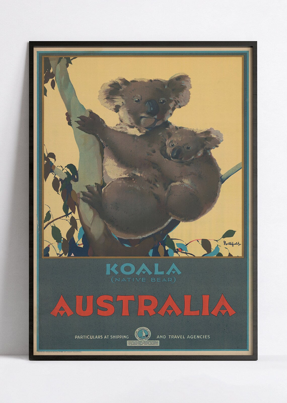 Affiche voyage " Australia - Koala" - vintage - Haute Définition - papier mat 230gr/m²