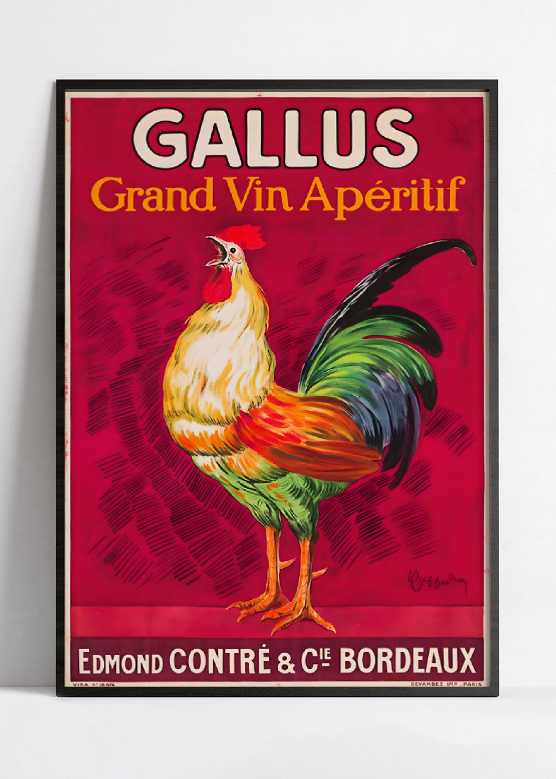 Affiche alcool vintage "Gallus" - Leonetto Cappiello - Haute Définition - papier mat 230gr/m2 - Poster Vintage