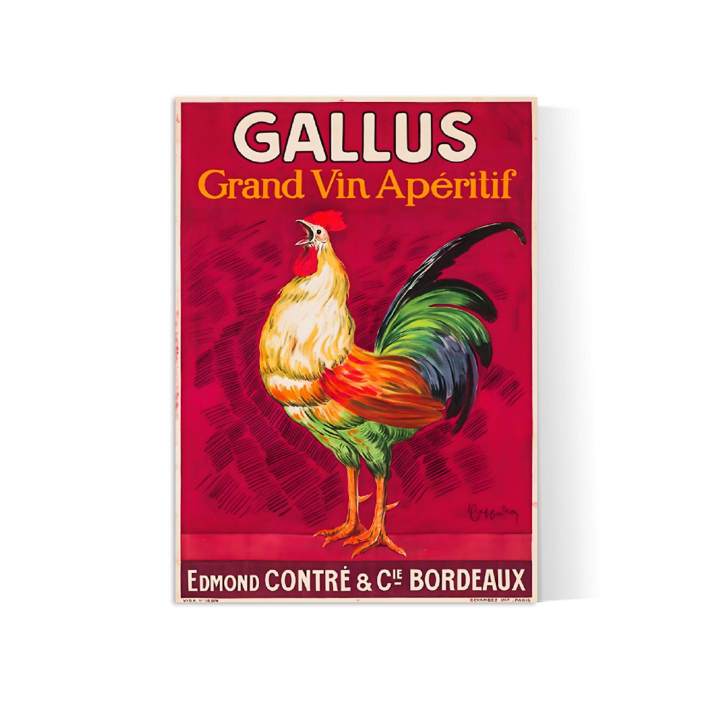 Affiche alcool vintage "Gallus" - Leonetto Cappiello - Haute Définition - papier mat 230gr/m2 - Poster Vintage